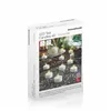 LED arbatos žvakių rinkinys Romandle InnovaGoods 12 vnt.
