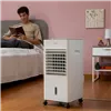 Kaasaskantav multifunktsionaalne aurustav jahuti InnovaGoods   5 L Valge 65 W (Renoveeritud C)