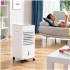 Nešiojamas daugiafunkcis garavimo aušintuvas InnovaGoods   5 L Balta 65 W (Naudoti C)
