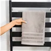 Electric Wall or Floor Towel Rail Towarall InnovaGoods Plastic Carbon steel 10 Bars (Refurbished D)