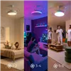 Laeventilaator RGB LED-valgustiga, 4 kokkukäivast labast ja kaugjuhtimispuldiga InnovaGoods