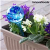 Автоматические поливочные шарики Aqua·Loon InnovaGoods Синий Cтекло (Пересмотрено A)