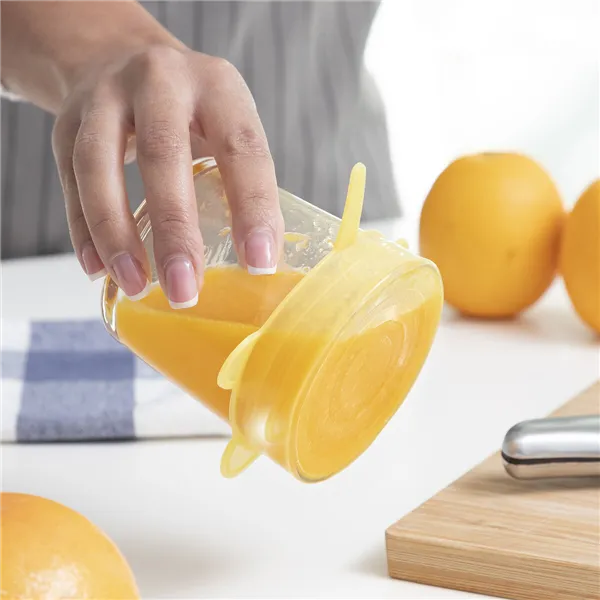 10 daugkartinių ir reguliuojamų virtuvinių dangčių rinkinys Lilyd InnovaGoods