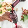 Vīna aerators ar filtru, statīvu un somiņu Wineir InnovaGoods