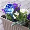 Automatiniai laistymo gaubliai Aqua·Loon InnovaGoods Mėlyna stiklas (Naudoti A)