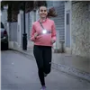 Спортивная сбруя со светодиодной подсветкой Safelt InnovaGoods