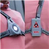 Спортивная сбруя со светодиодной подсветкой Safelt InnovaGoods