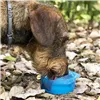 2-in-1 bottle with water and food containers for pets Pettap InnovaGoods