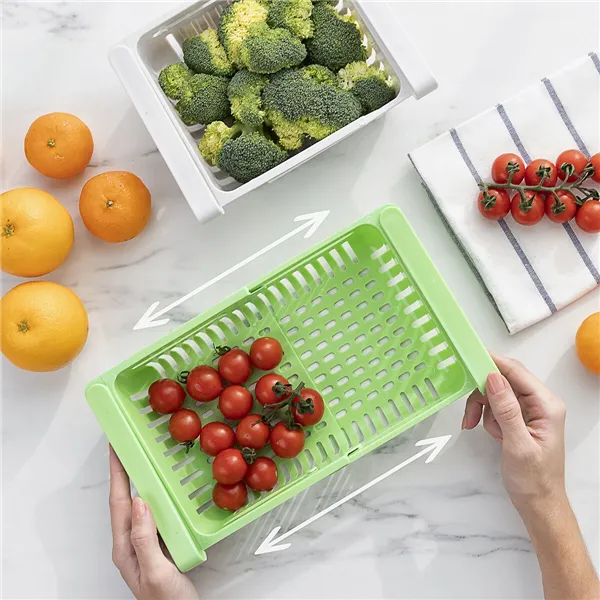 Pielāgojams Ledusskapja Organizators Friwer InnovaGoods 2 gb.