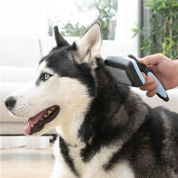 Lemmikin puhdistusharja sisäänvedettävillä harjaksilla Groombot InnovaGoods
