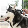 Lemmikin puhdistusharja sisäänvedettävillä harjaksilla Groombot InnovaGoods