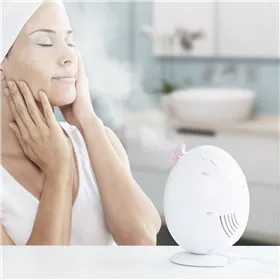 Elektriskā sejas sauna Moispa InnovaGoods