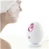 Electric Facial Sauna Moispa InnovaGoods
