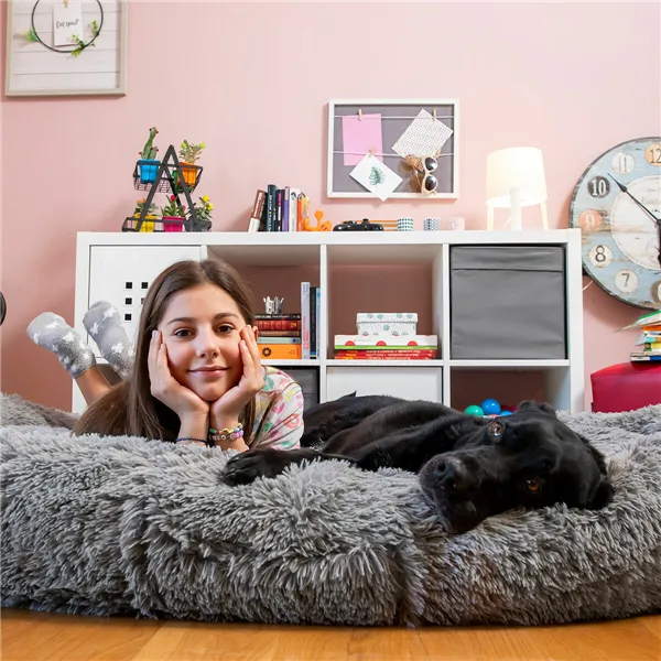 Suņu gulta cilvēkiem | Human Dog Bed XXL InnovaGoods Grey