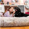 Inimese ja koera voodi | Human Dog Bed XXL InnovaGoods Beige