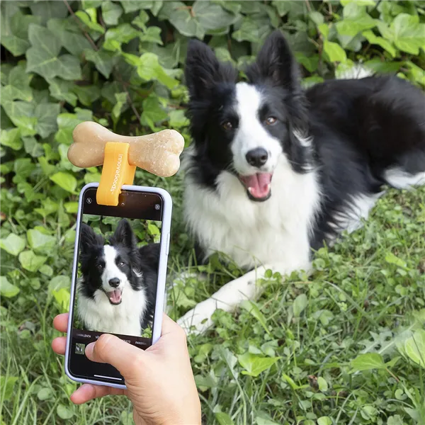 Selfie spaustukas naminiams gyvūnėliams Pefie InnovaGoods