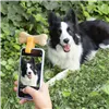 Selfie spaustukas naminiams gyvūnėliams Pefie InnovaGoods