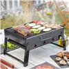 Kokkupandav kaasaskantav grill kasutamiseks koos söega BearBQ InnovaGoods