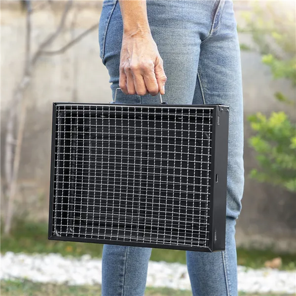 Sulankstoma nešiojama kepsninė, kūrenama anglimi BearBQ InnovaGoods