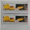 Судок для Приготовления Тортильи в Микроволновой Печи InnovaGoods