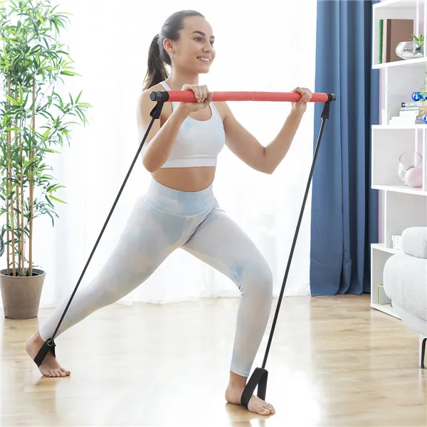 Fitnesskang koos elastsete koormusribade ja treeningu juhisega Resibar InnovaGoods