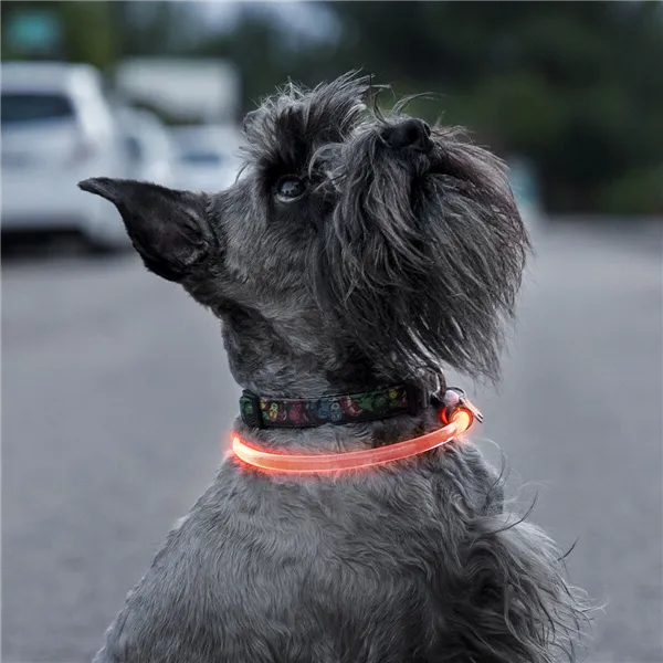 LED mājdzīvnieku kaklasiksna Petlux InnovaGoods
