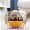 Mājdzīvnieku rotaļlieta-gardumu dozators 2 in 1 Petyt InnovaGoods