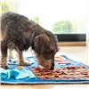 Sniffing Mat for Pets Foopark InnovaGoods