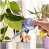 Automātiski Laistīšanas Globusi Ballwooters InnovaGoods 4 gb.